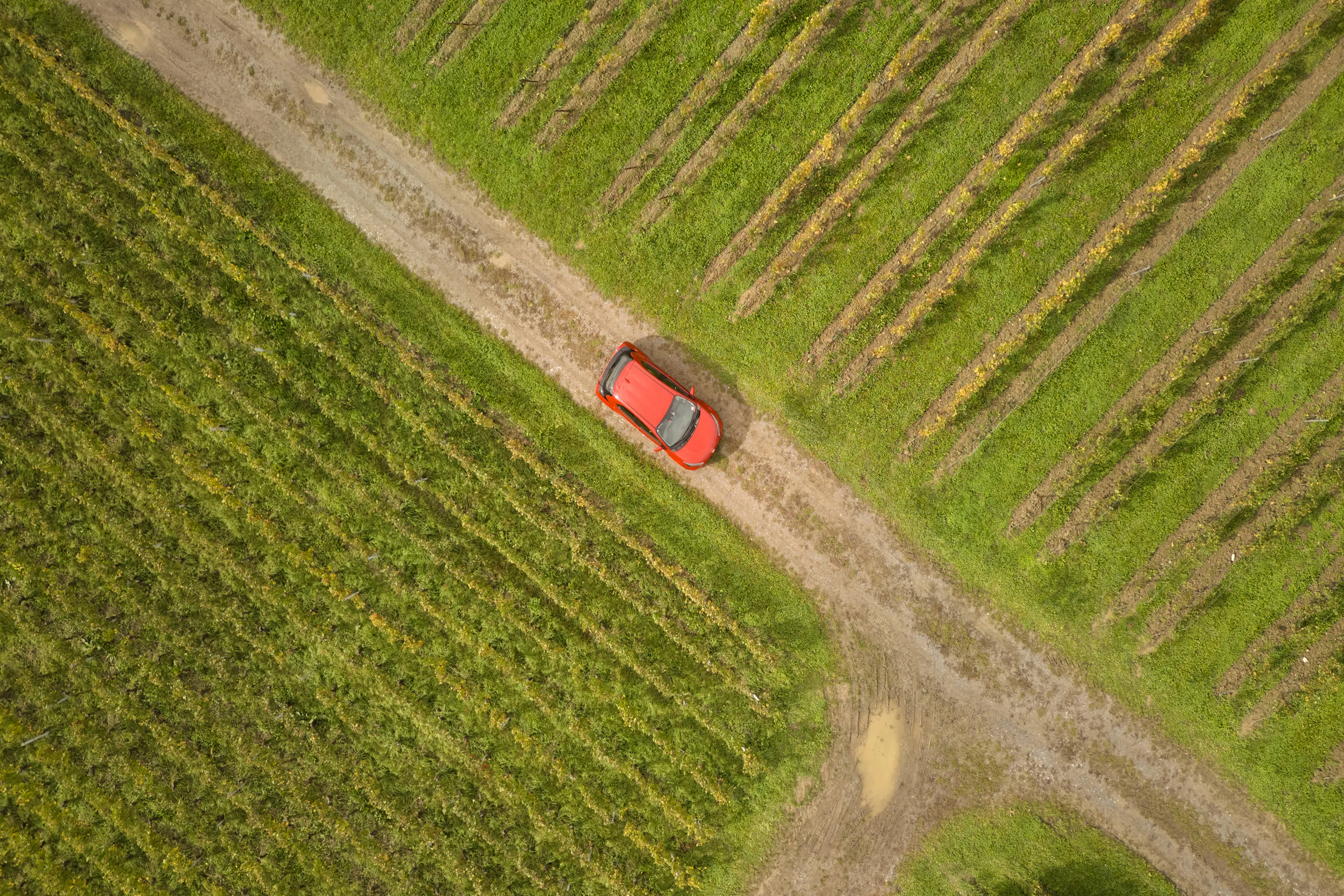 Ein Mobility-Auto fährt über die Felder.